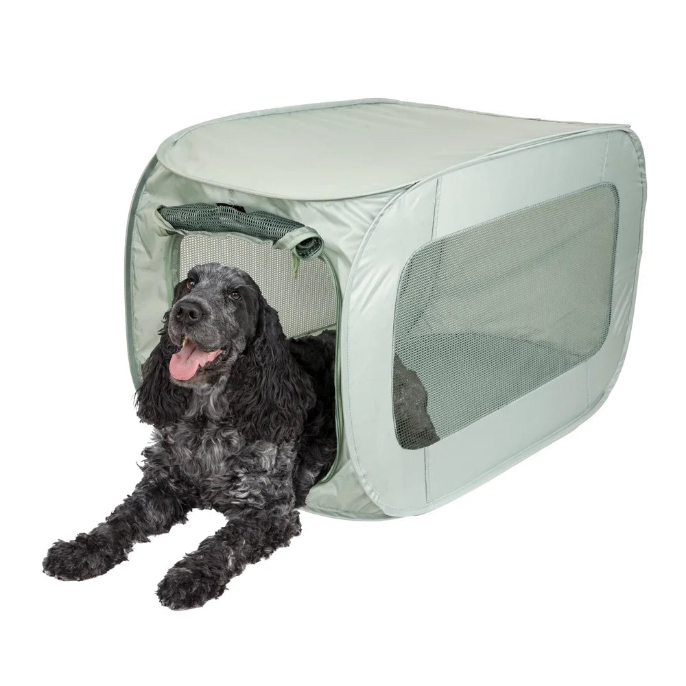 Soft Sided Pop Open Pet Kennel Medium Dogs Cats Travel Portable Collapsible Mesh Ventilation Easy Setup Carry Case