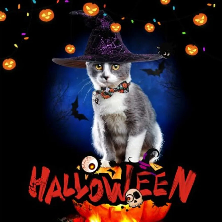 Cat Collar Breakaway Halloween Theme 3 Pack Safety Collars Pet Accessory for Outdoor and House Cats Kittens White Black