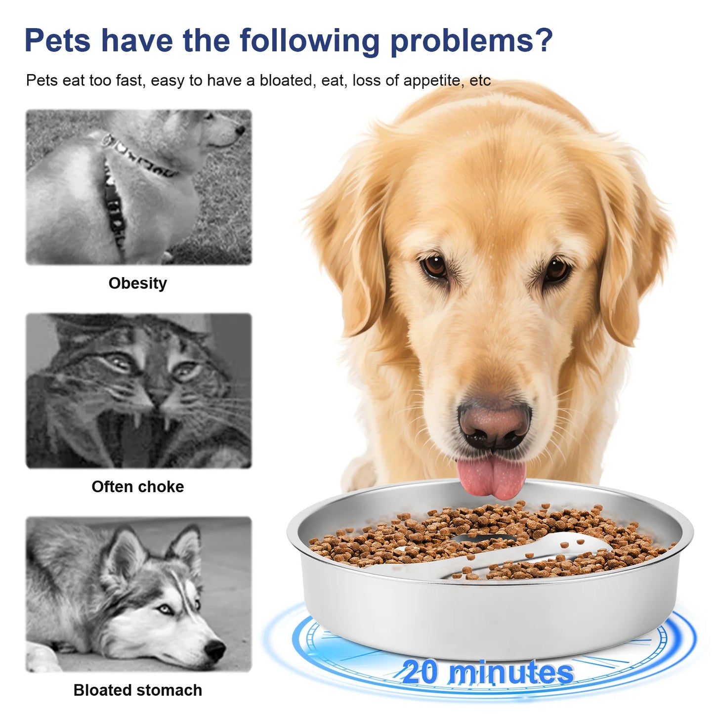 304 Stainless Steel Pet Dog Slow Feeder Bowl W/ Non-Slip Mat Dog Water Bowl Anti-Choking Pet Food Bowls for Small & Medium Dogs