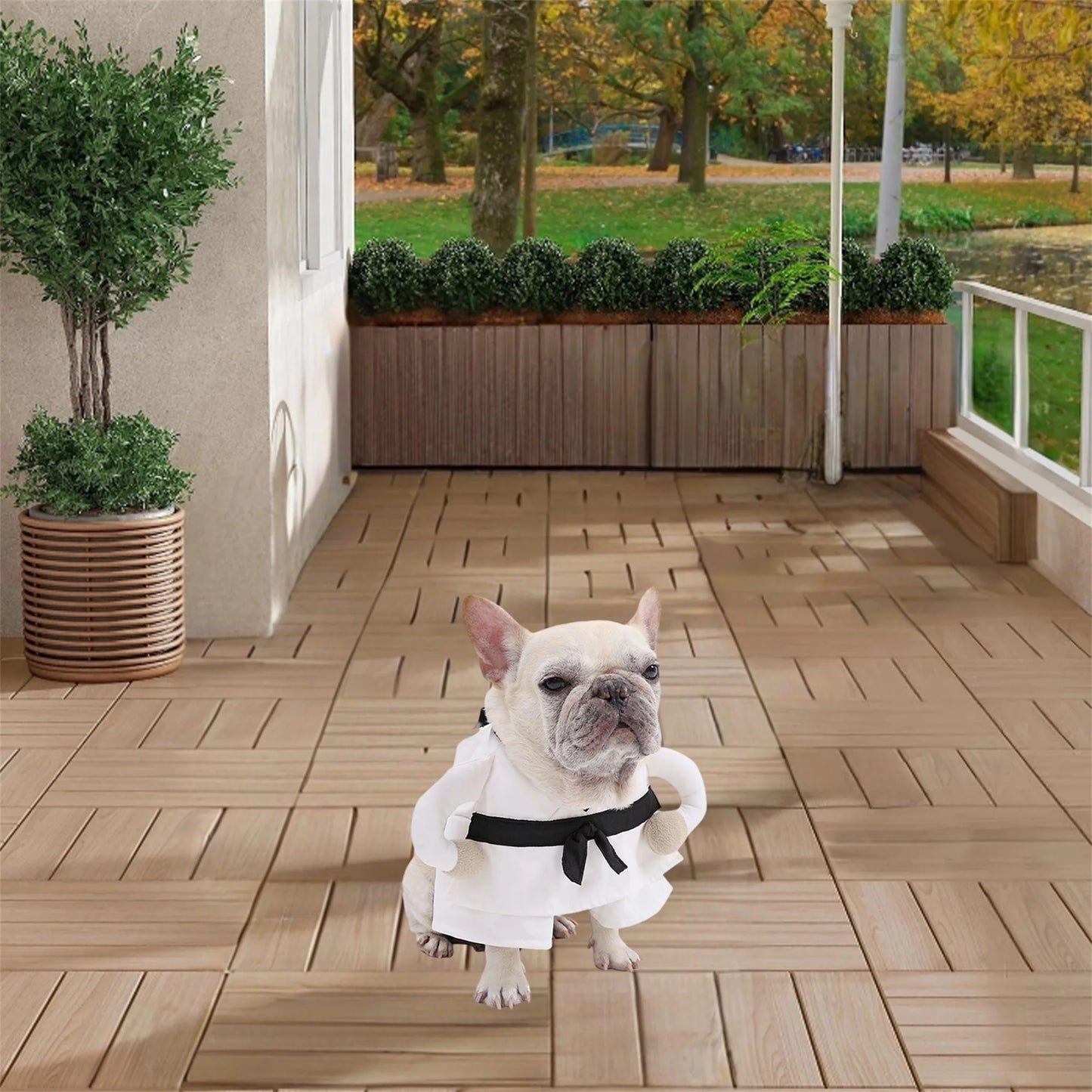 Funny Halloween Costume for Pets Soft and Comfortable Costume for Dogs and Cats Perfect for Indoor and Outdoor Activities