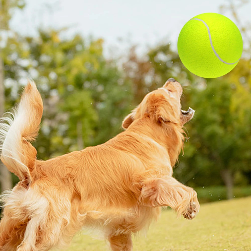 9.5 Inch Oversize Giant Tennis Balls Inflatable Tennis Ball Dog Toy Balls For Signature Children Adult Pets Dogs Cats Fun