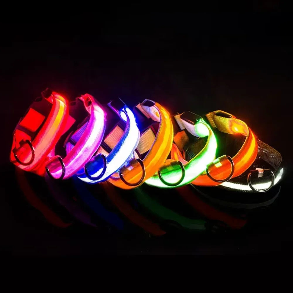 Factory Wholesale Light  Dog Collar Manufacturers  Nylon Led Dog Collar Leash Training collar for a dog Small dog collar Pet id