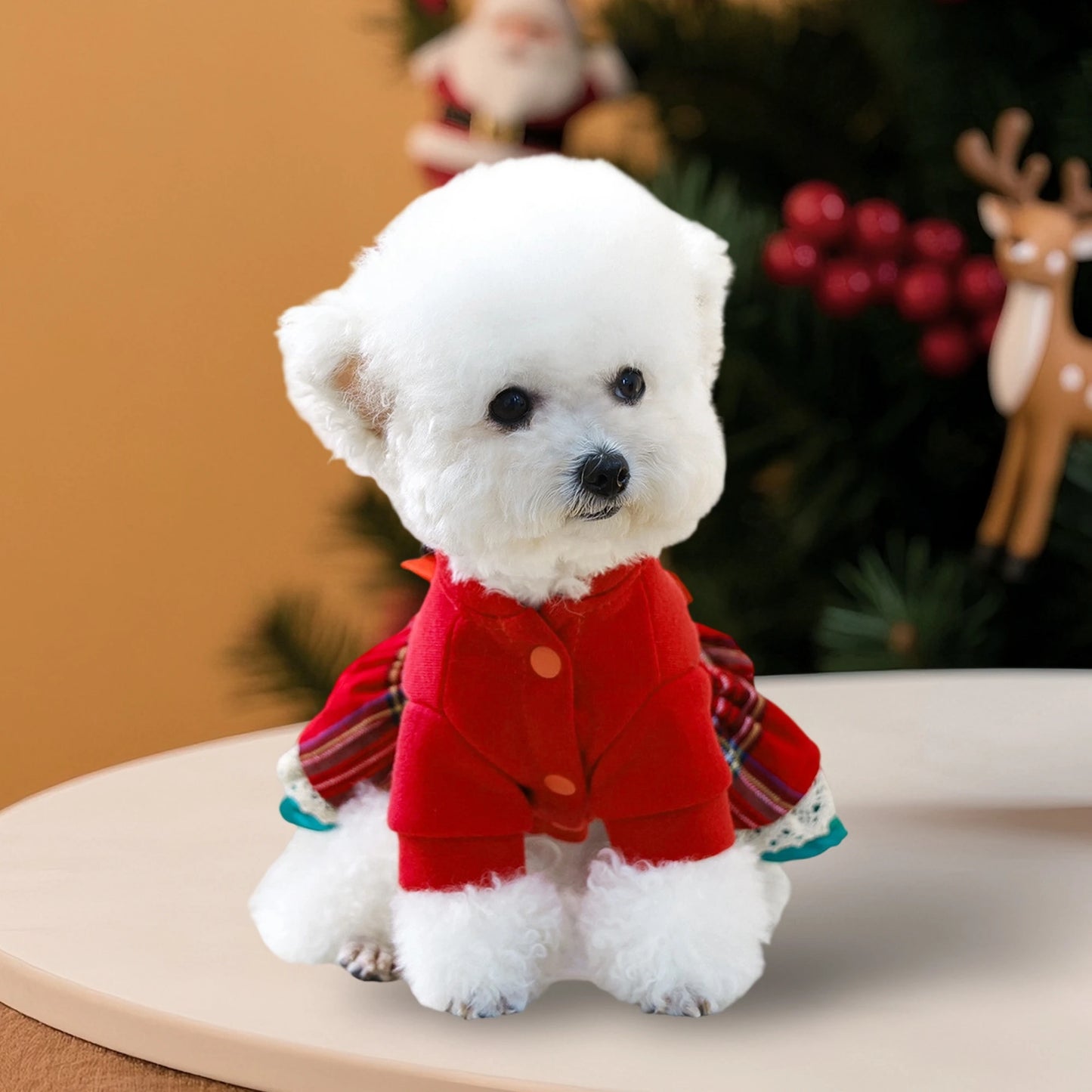 Christmas Dog Costume with Santa Hat and Jingle Bell Collar Festive Pet Holiday Outfit for Small Dogs and Cats